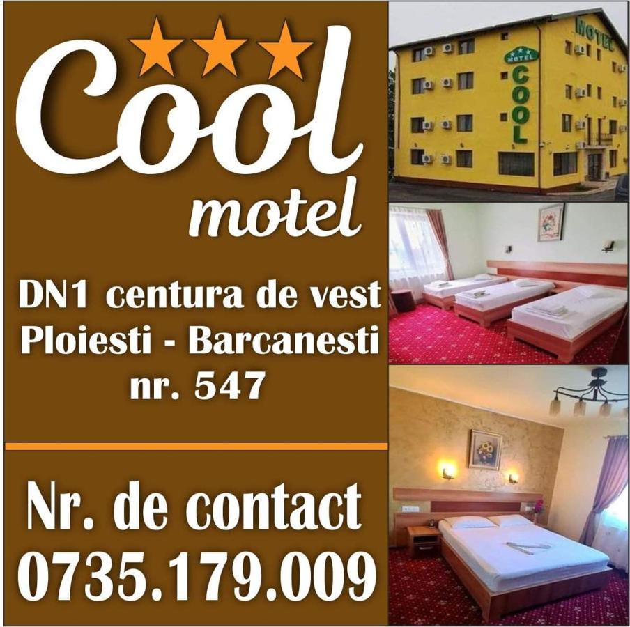 Motel Cool Bărcăneşti Kültér fotó